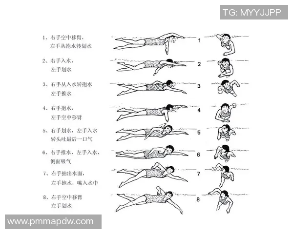自由泳初学者训练全攻略从入门到提升的技巧与注意事项